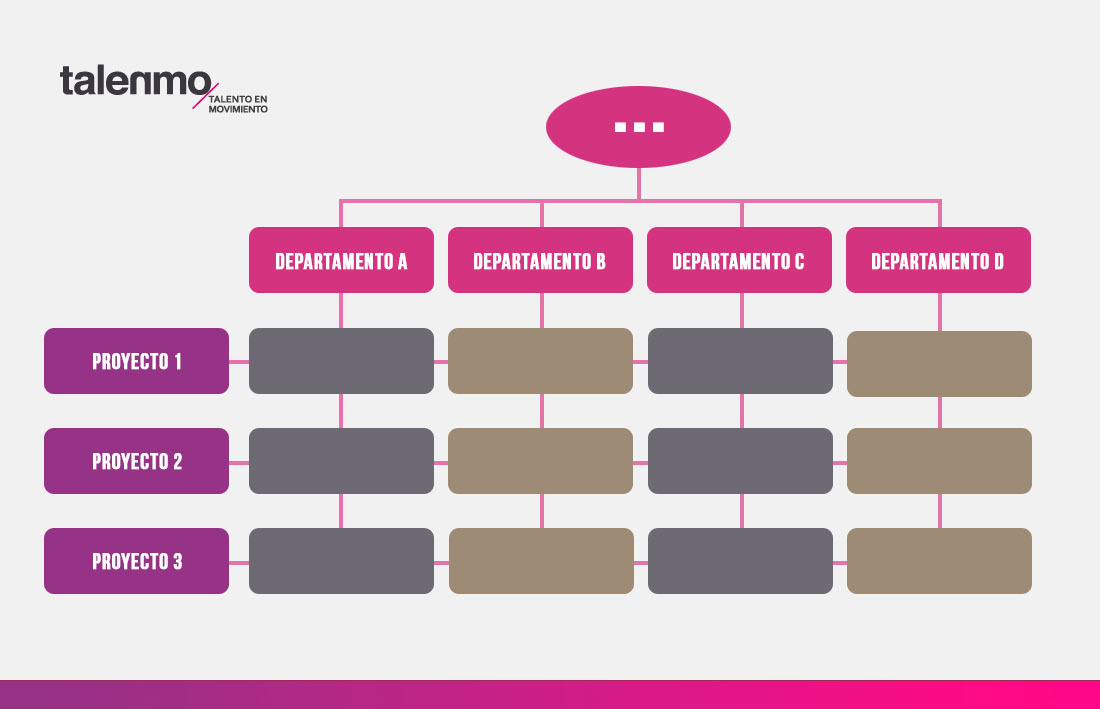 Estructura matricial | Qué es, características, ventajas y ejemplos