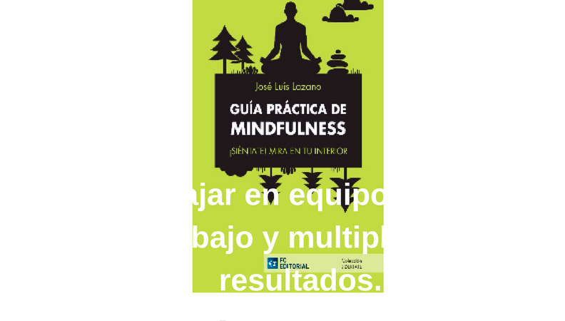 Mindfulness – Gestión del estrés en la empresa.