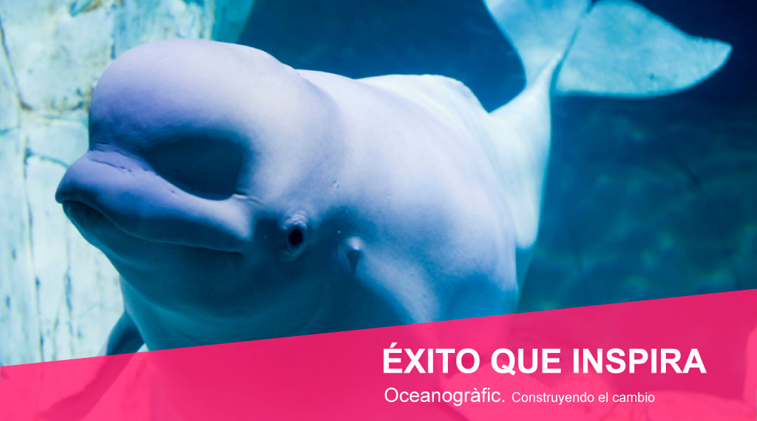 Oceanogràfic València. Éxito que inspira