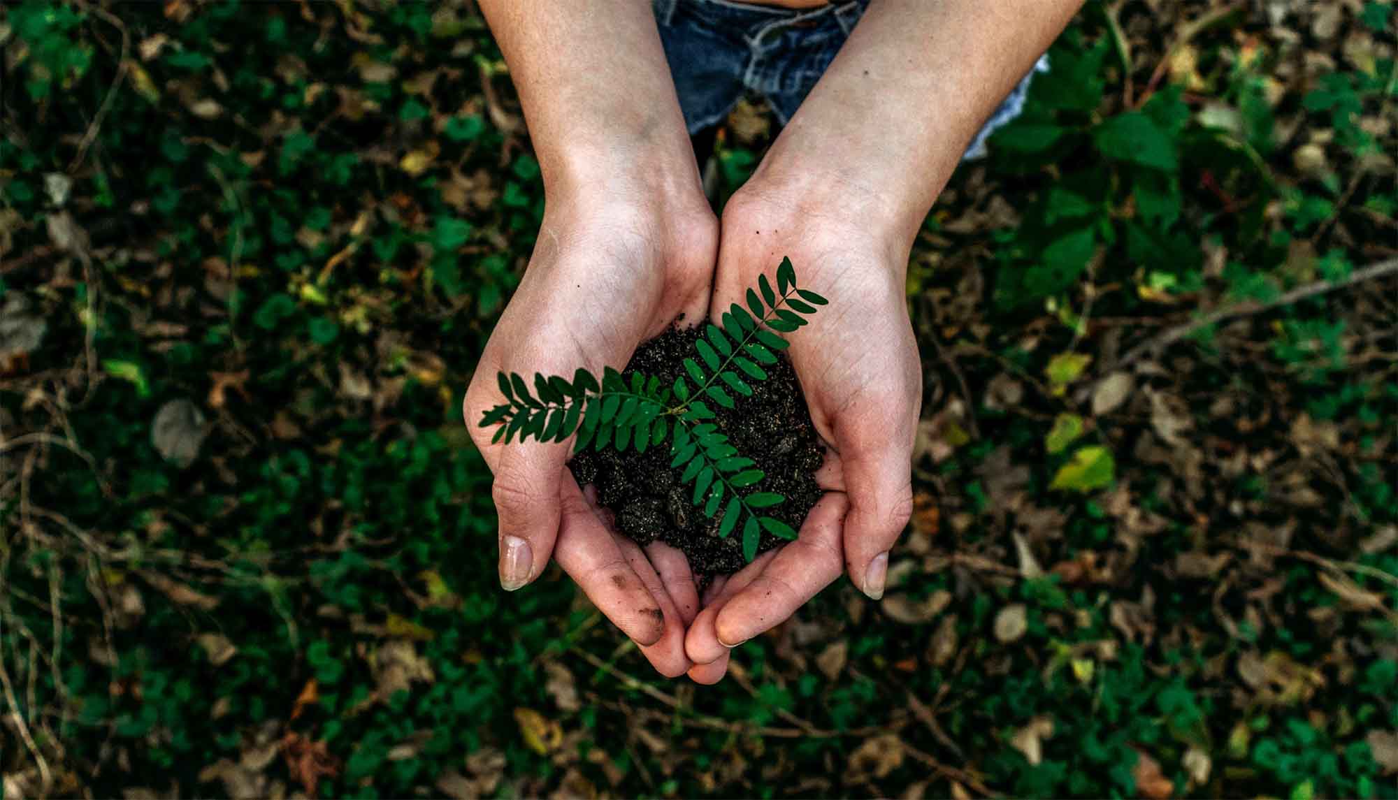 La sostenibilidad en la gestión de recursos humanos: más allá de las prácticas ambientales